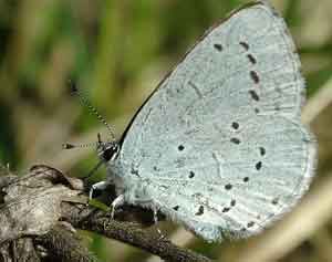 ��������� ���������